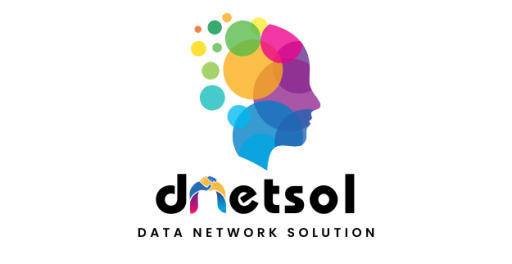 Data Network Solution Logo